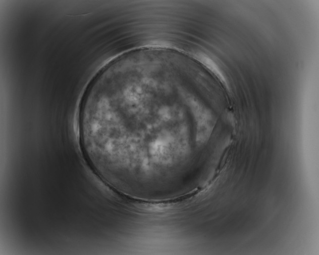 X0000089711084200707121408