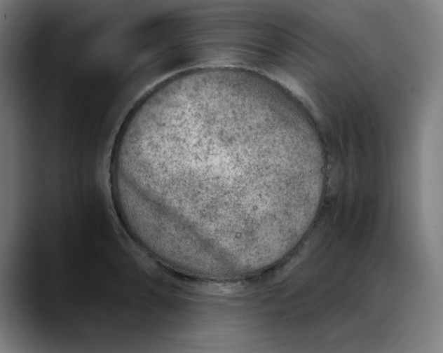 X0000089711086200707121408