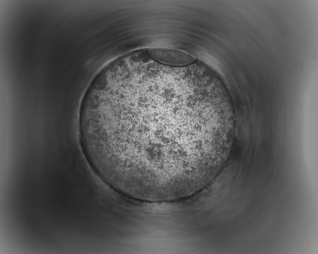 X0000089711087200707121408