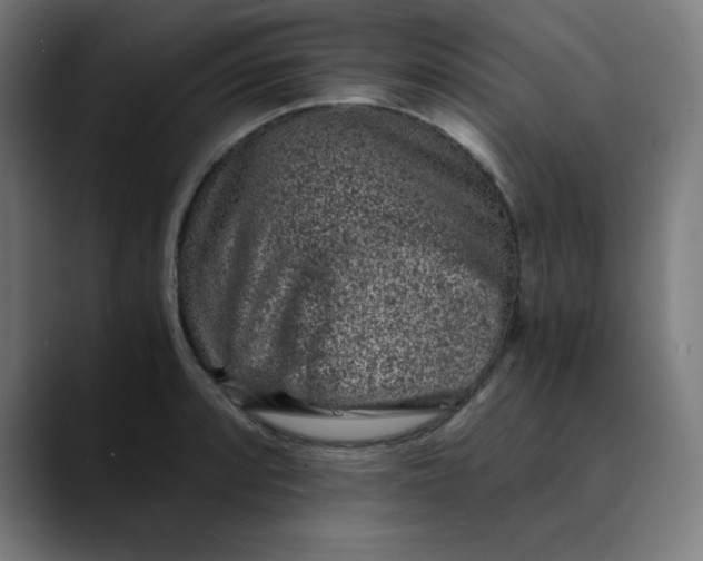 X0000089711088200707121408