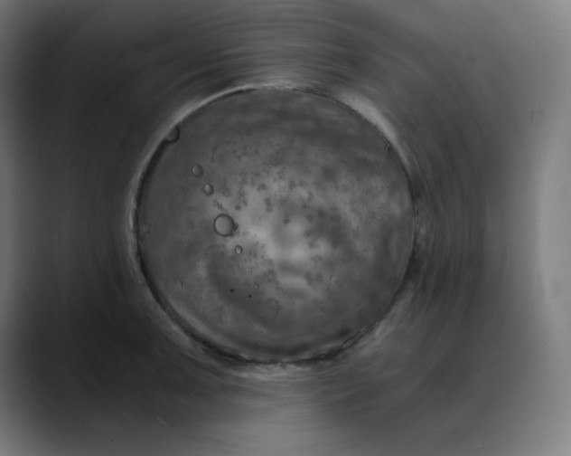 X0000089711091200707121408