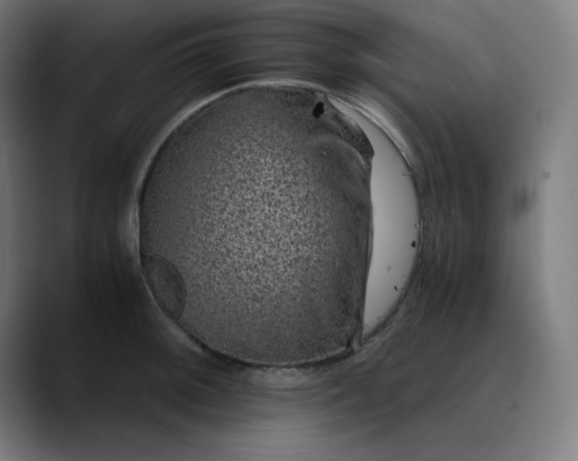 X0000089711092200707121408