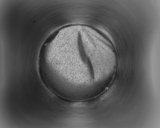 X0000089711093200707121408