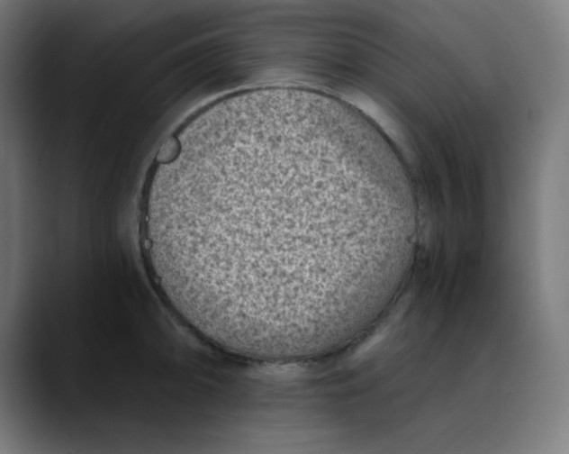 X0000089711094200707121408