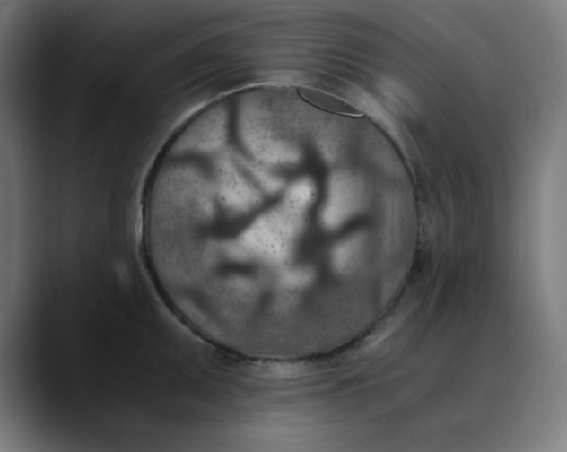 X0000089711095200707121408