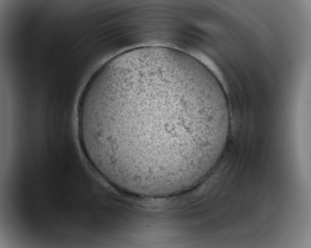 X0000089711096200707121408