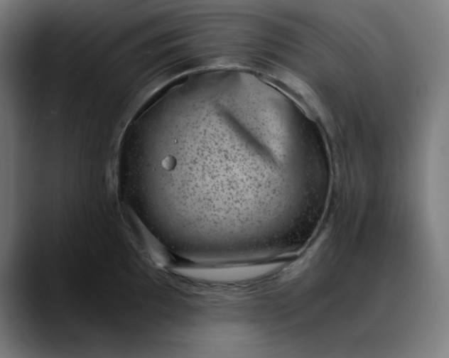 X0000089711097200707121408