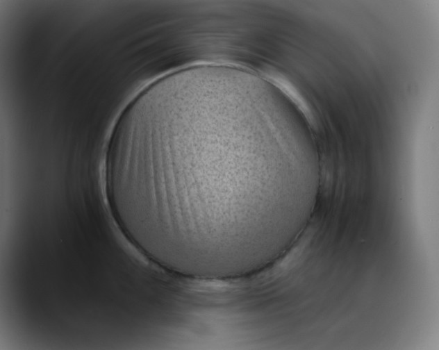 X0000089711100200707121408