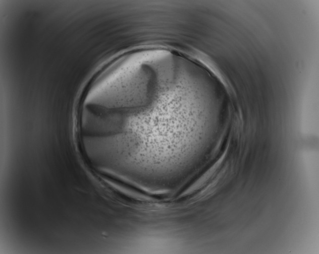 X0000089711101200707121408