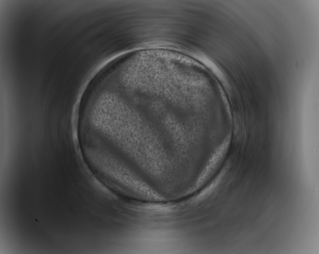 X0000089711102200707121408