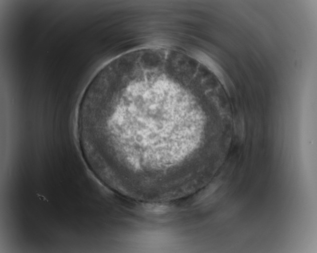 X0000089711103200707121408