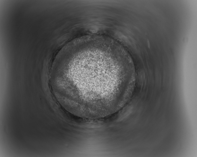 X0000089711105200707121407