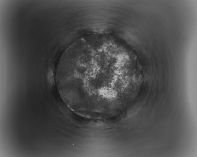 X0000089711106200707121407