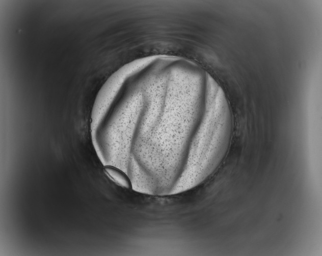 X0000089711109200707121407