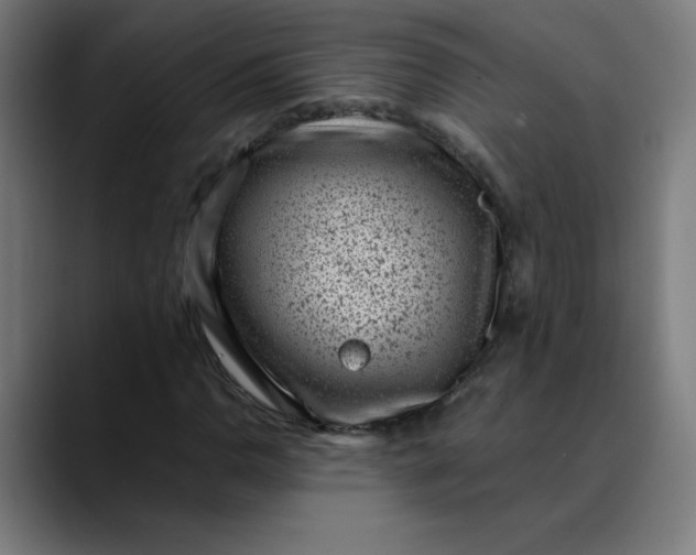 X0000089711110200707121407