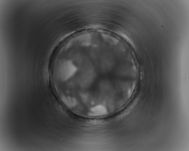 X0000089711117200707121408