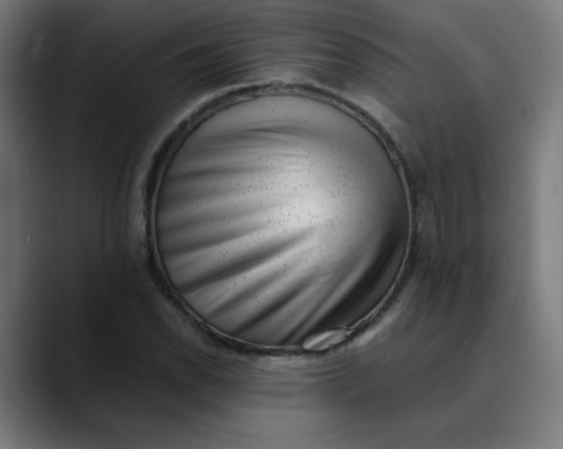 X0000089711118200707121408