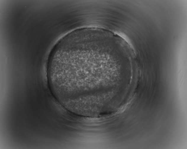 X0000089711120200707121408