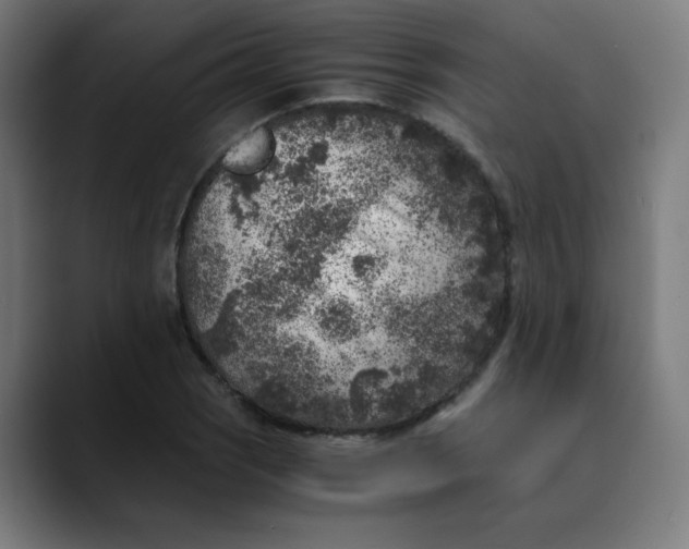 X0000089711121200707121408