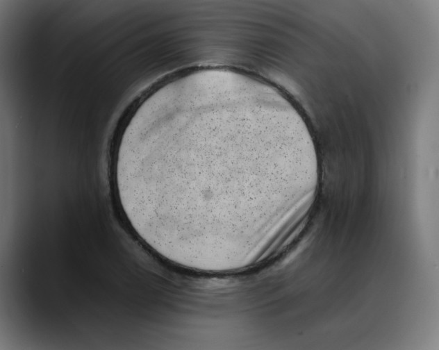 X0000089711122200707121408