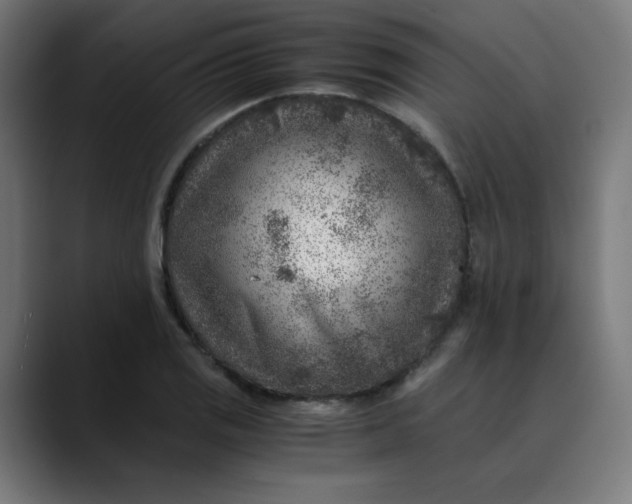 X0000089711125200707121408