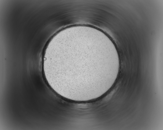 X0000089711126200707121408