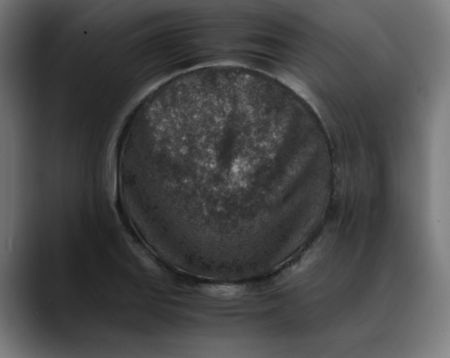 X0000089711127200707121408