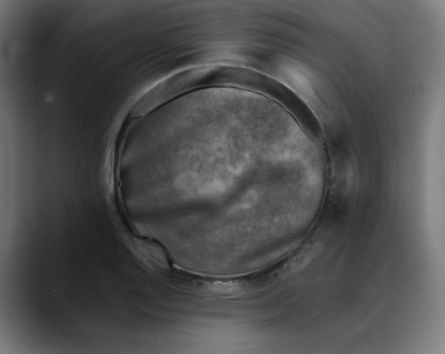 X0000089711128200707121408