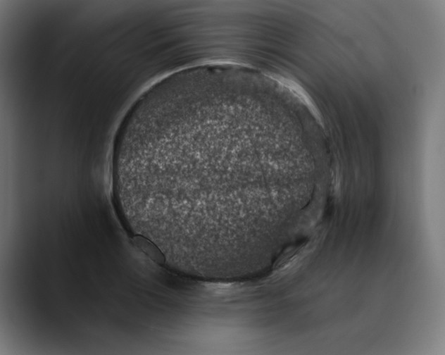 X0000089711132200707121408