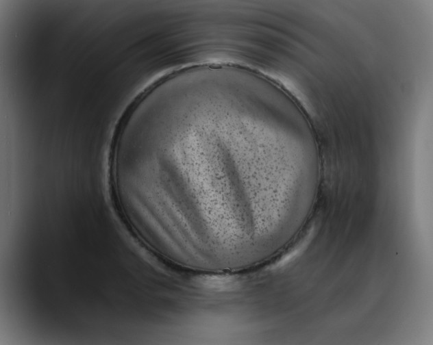 X0000089711134200707121408