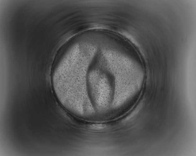 X0000089711137200707121408