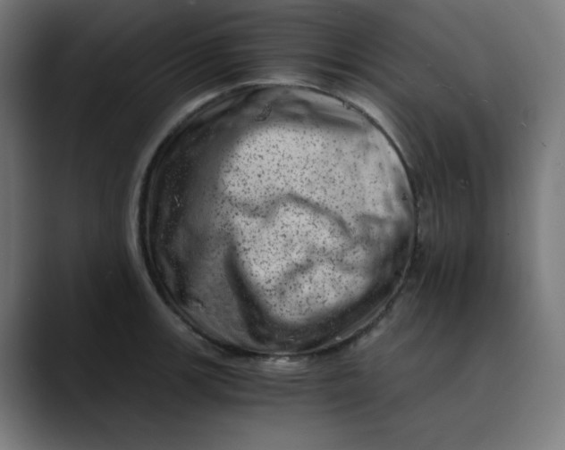 X0000089711139200707121408