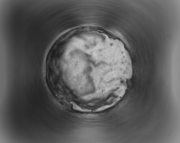 X0000089711140200707121408