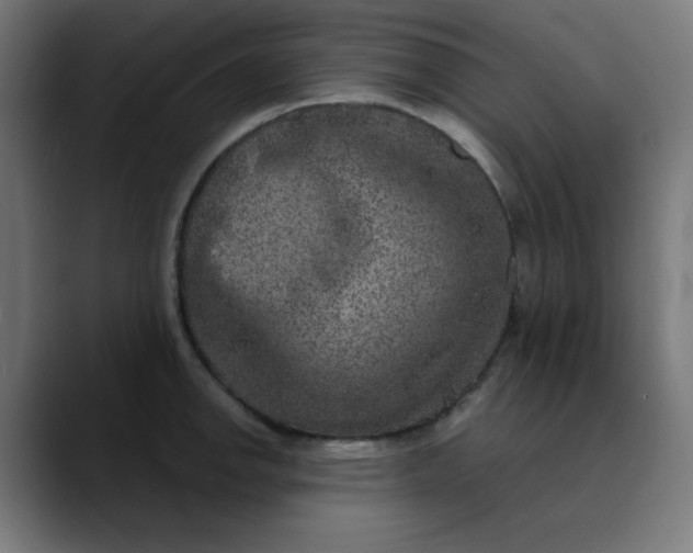 X0000089711142200707121408