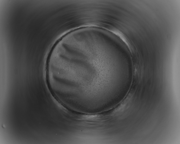 X0000089711143200707121408