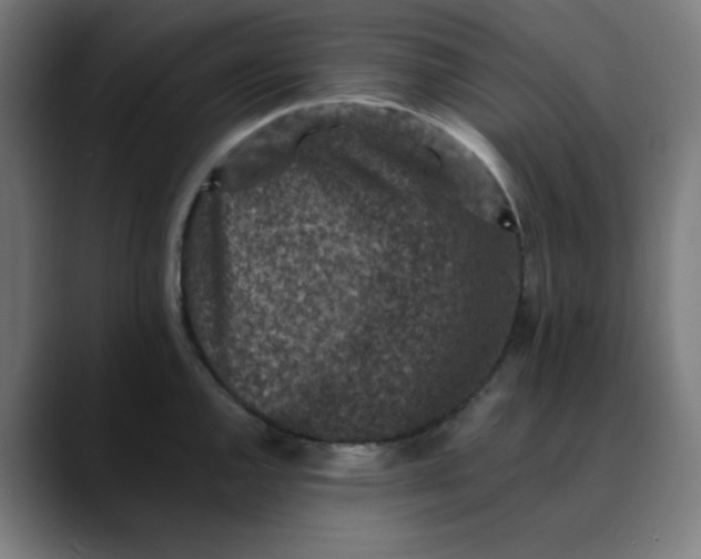 X0000089711144200707121408