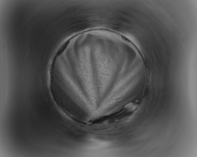 X0000089711151200707121408