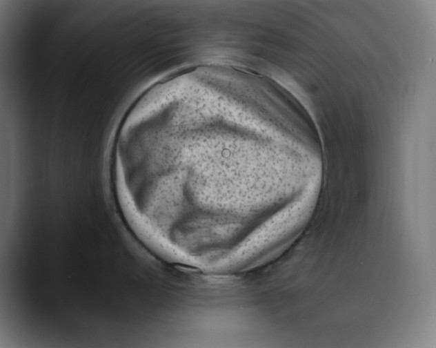 X0000089711152200707121408