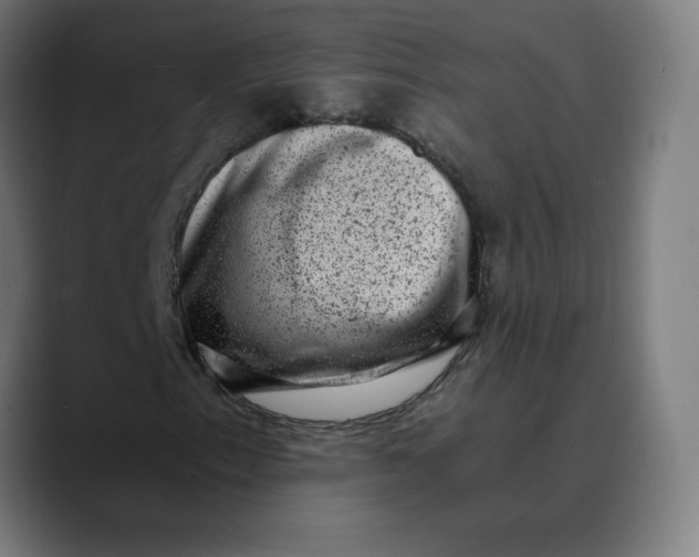 X0000089711153200707121407