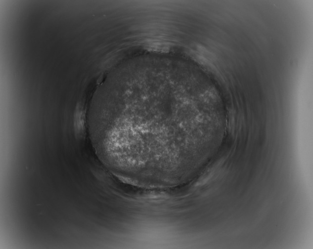 X0000089711154200707121407