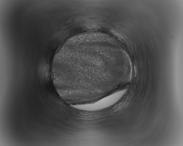 X0000089711156200707121407