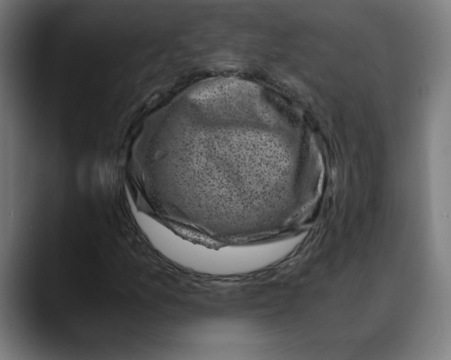 X0000089711157200707121407