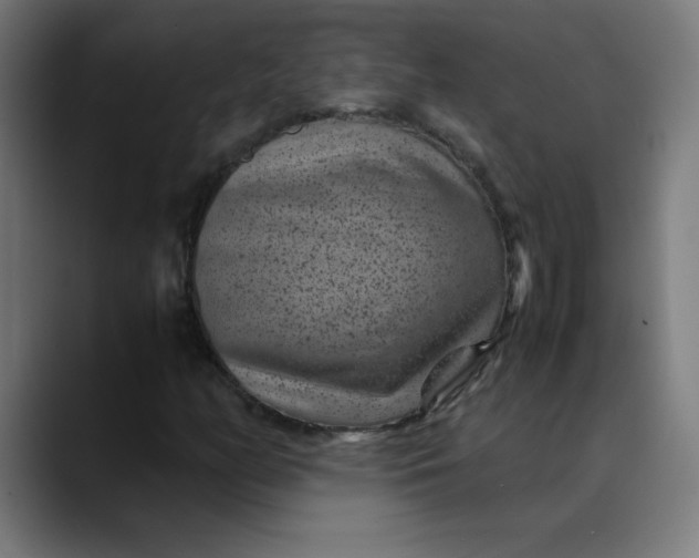 X0000089711158200707121407