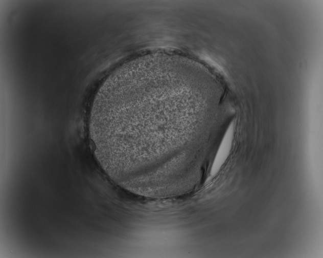 X0000089711159200707121407