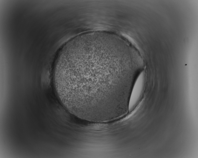 X0000089711163200707121407