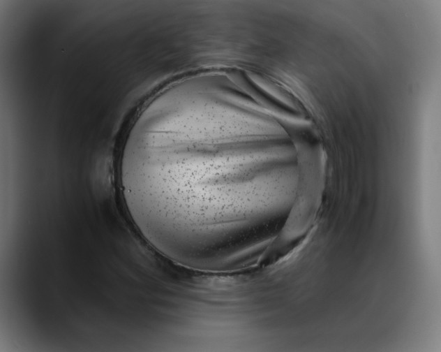 X0000089711164200707121407