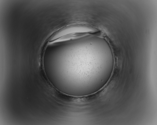 X0000089711165200707121407