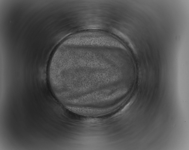 X0000089711170200707121407