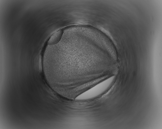 X0000089711171200707121407