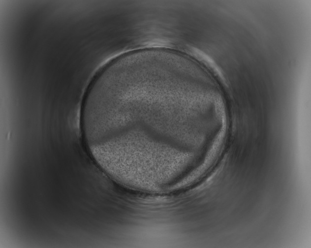 X0000089711174200707121407